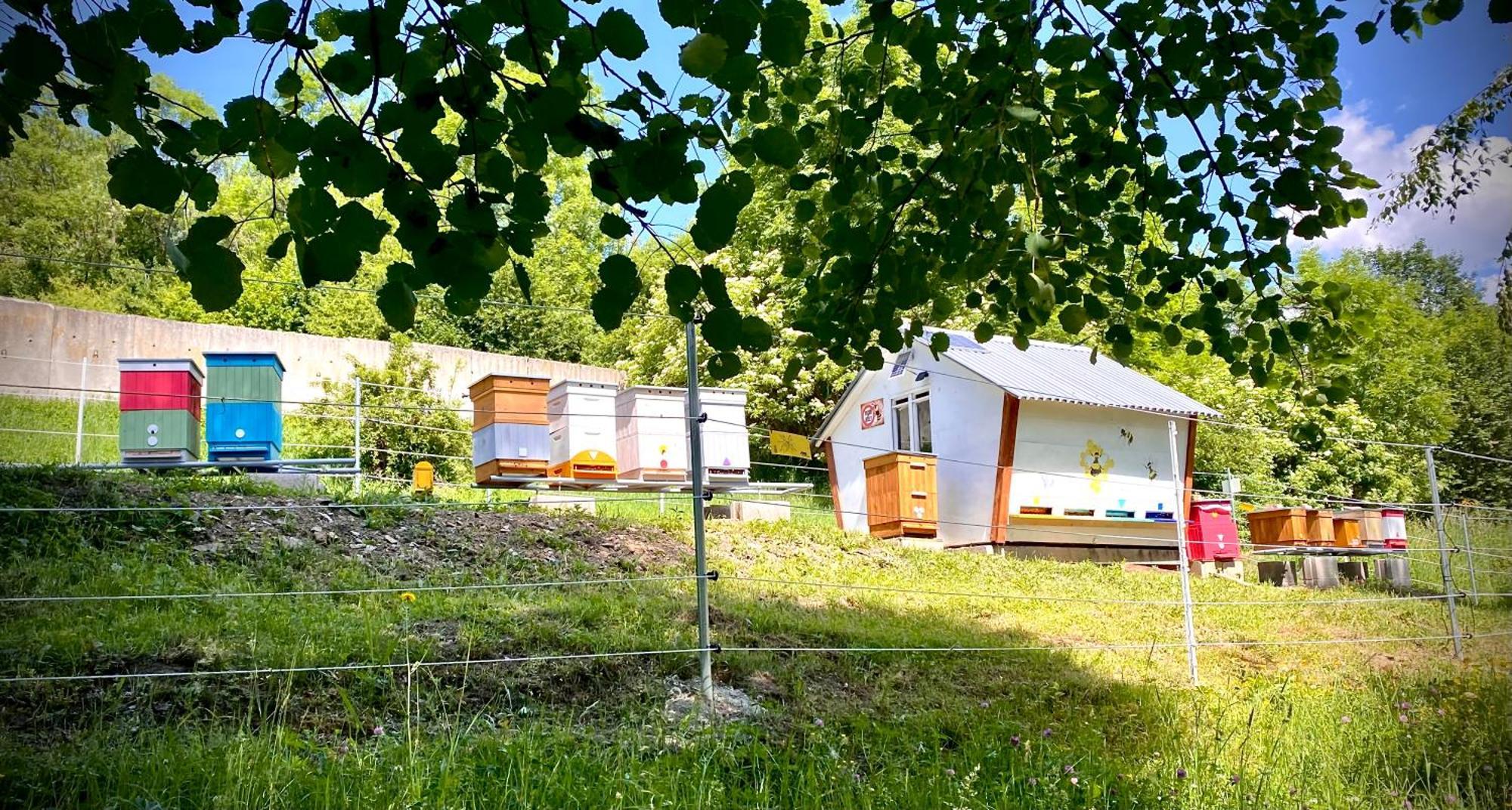 Apartmany Svrcinky Liptovský Mikuláš المظهر الخارجي الصورة